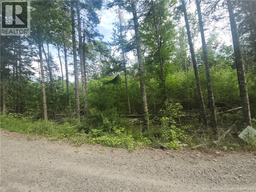 21-01 Sunset Drive, Bayside, New Brunswick  E5B 2Y6 - Photo 5 - NB143551