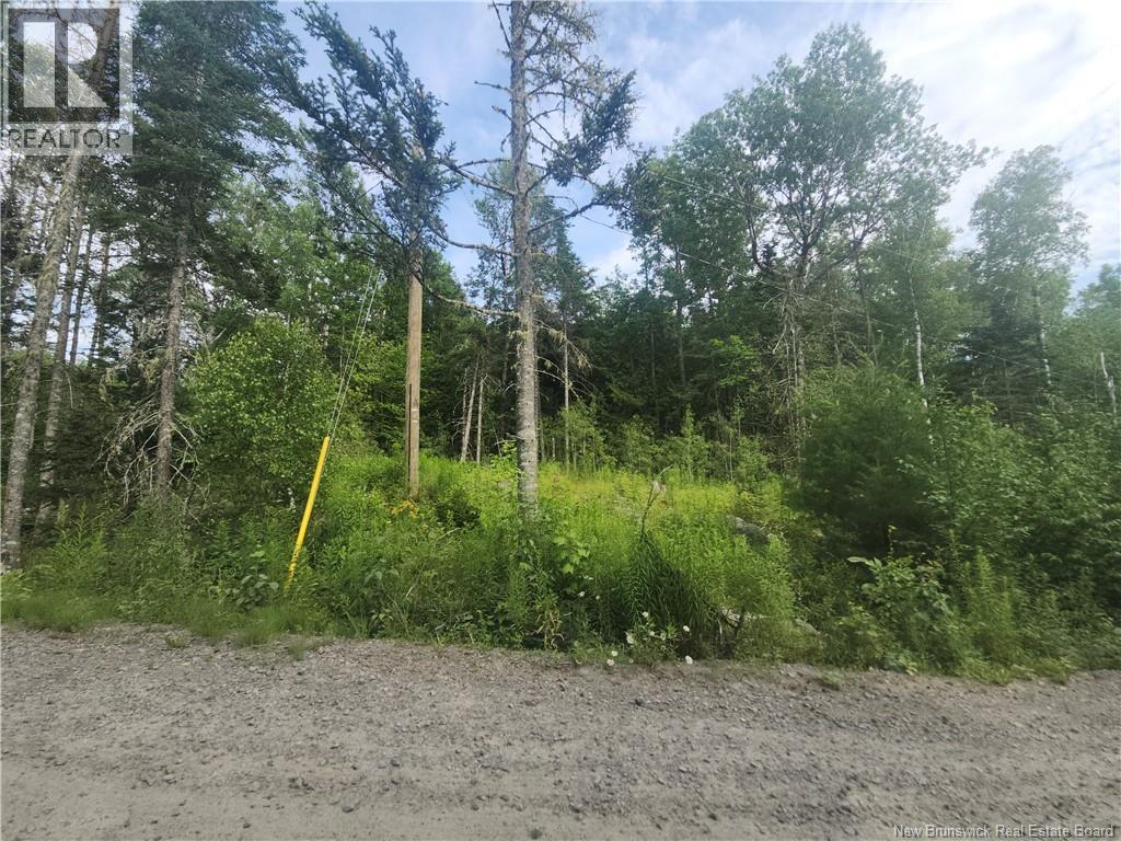 21-01 Sunset Drive, Bayside, New Brunswick  E5B 2Y6 - Photo 6 - NB143551