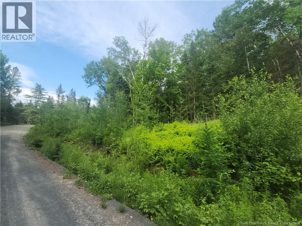 21-01 Sunset Drive, Bayside, New Brunswick  E5B 2Y6 - Photo 7 - NB143551