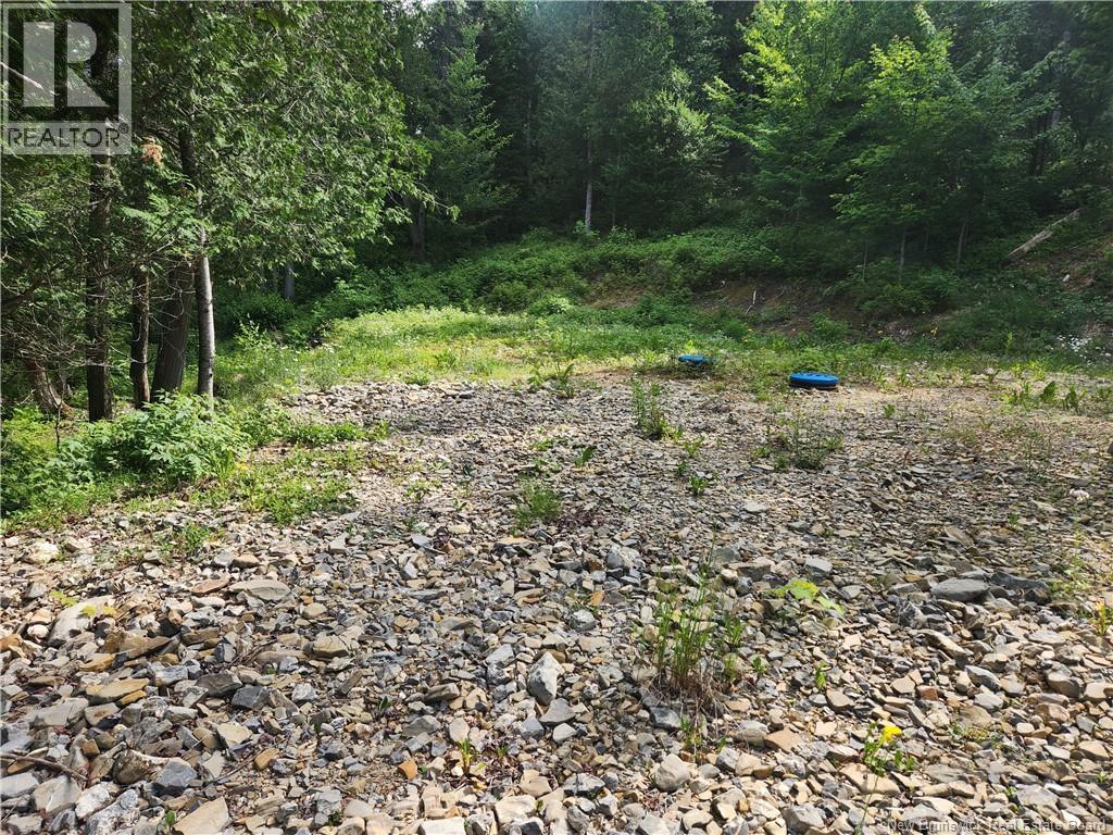 00 A Parent Road, Saint-Quentin, New Brunswick  E8A 2R7 - Photo 4 - NB143553