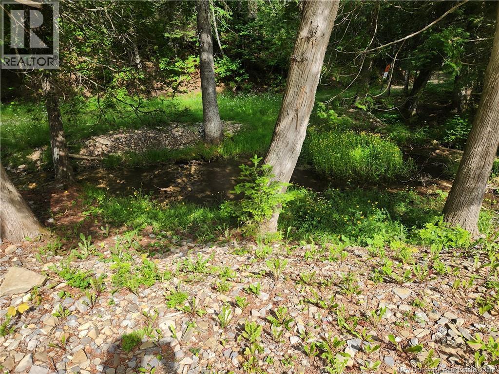 00 A Parent Road, Saint-Quentin, New Brunswick  E8A 2R7 - Photo 5 - NB143553