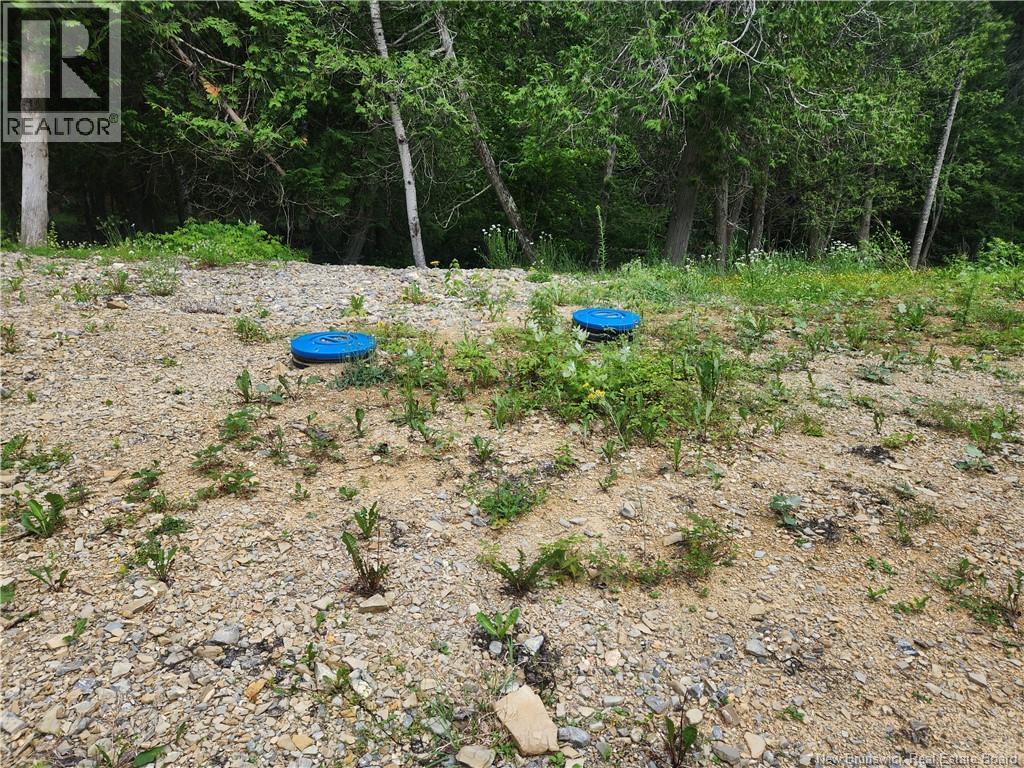 00 A Parent Road, Saint-Quentin, New Brunswick  E8A 2R7 - Photo 7 - NB143553