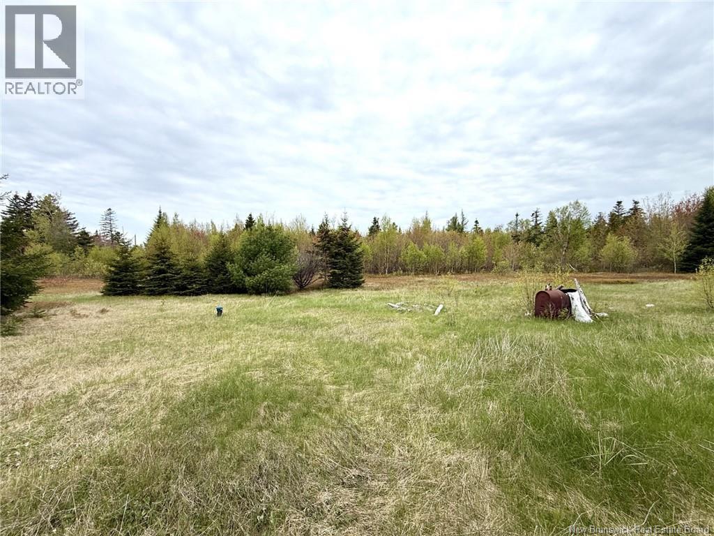 24 Chemin Frigault, Losier Settlement, New Brunswick  E1X 4V6 - Photo 4 - NB143428