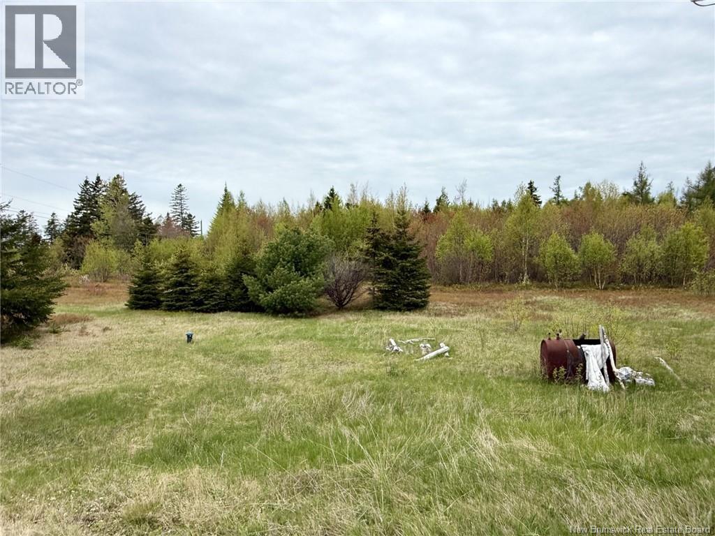 24 Chemin Frigault, Losier Settlement, New Brunswick  E1X 4V6 - Photo 5 - NB143428