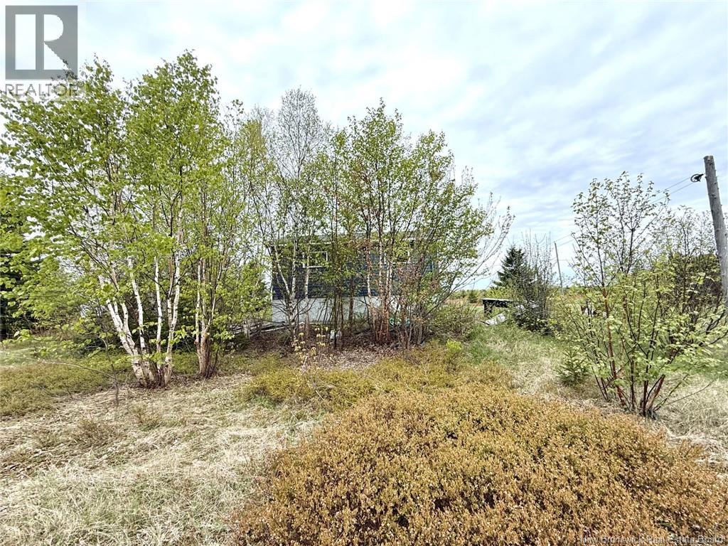 24 Chemin Frigault, Losier Settlement, New Brunswick  E1X 4V6 - Photo 8 - NB143428