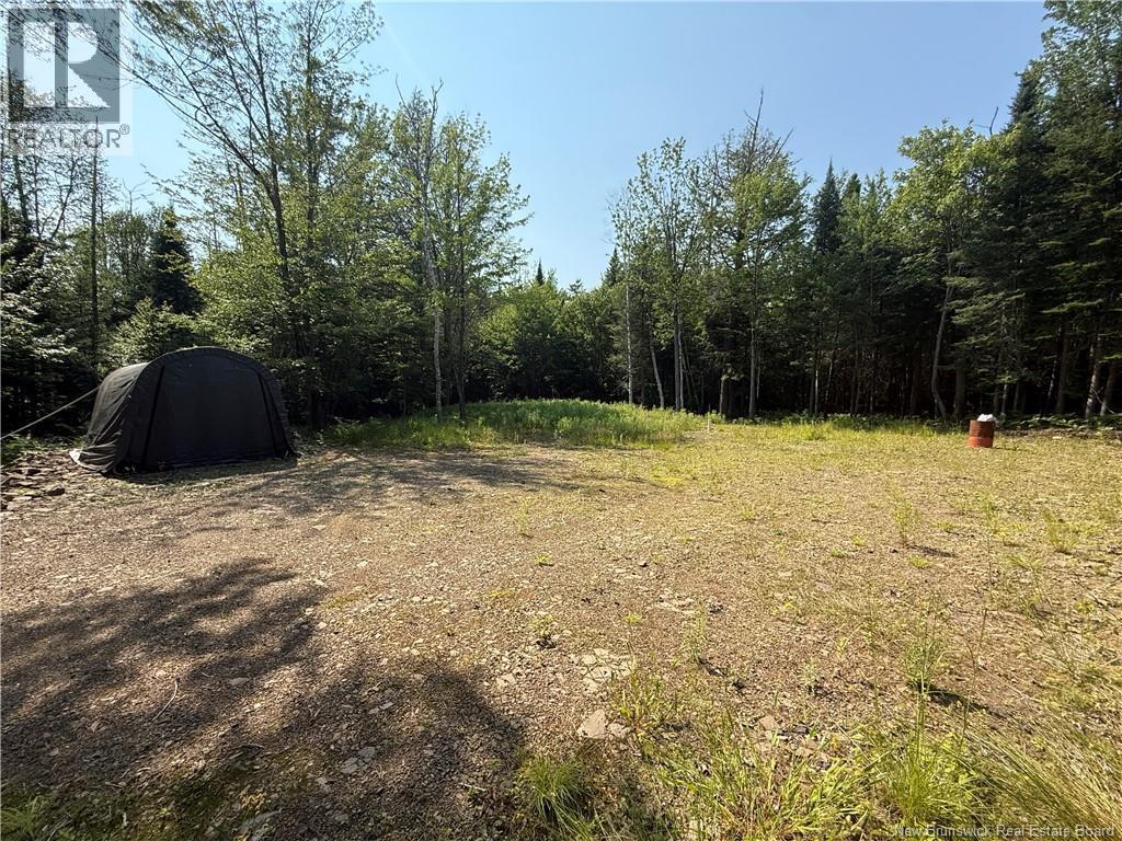 306 Bridge Street, Minto, New Brunswick  E4B 2X4 - Photo 11 - NB143502