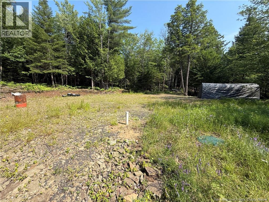 306 Bridge Street, Minto, New Brunswick  E4B 2X4 - Photo 13 - NB143502