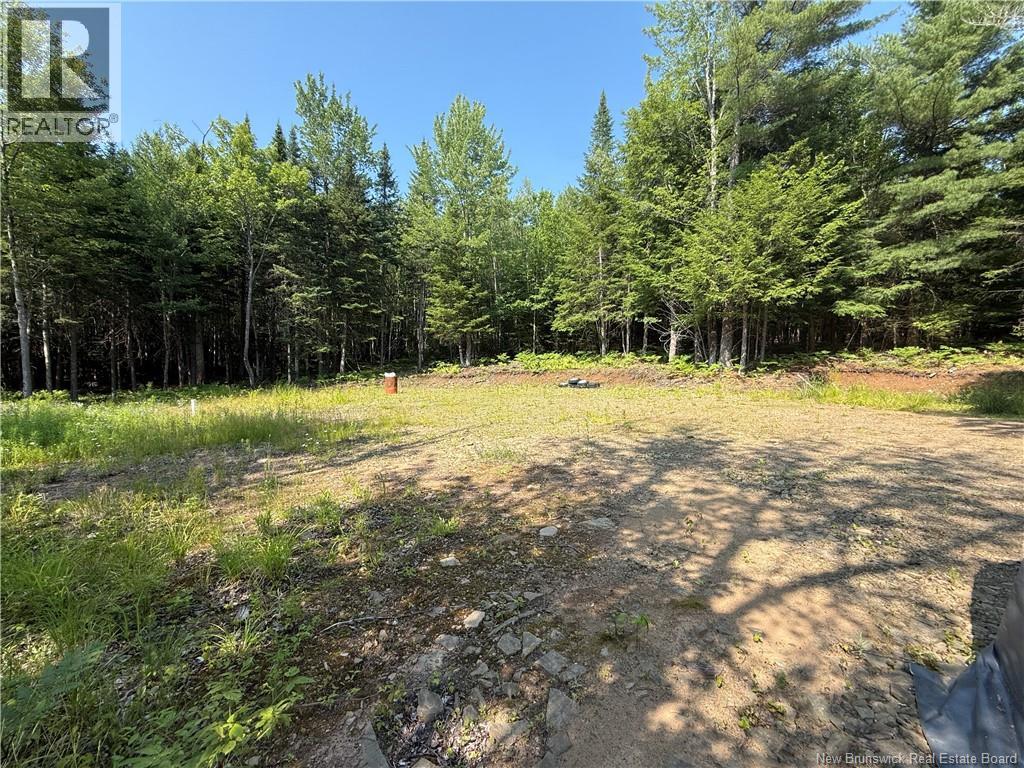 306 Bridge Street, Minto, New Brunswick  E4B 2X4 - Photo 14 - NB143502