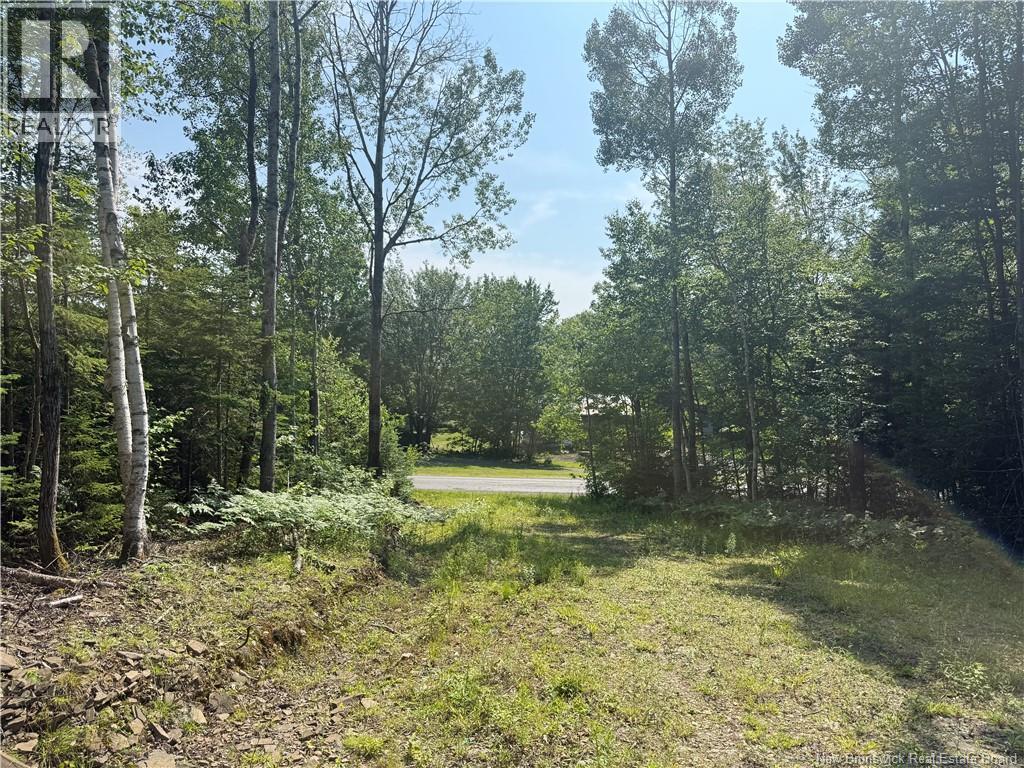 306 Bridge Street, Minto, New Brunswick  E4B 2X4 - Photo 5 - NB143502