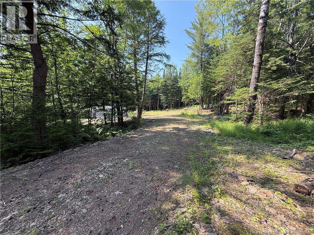 306 Bridge Street, Minto, New Brunswick  E4B 2X4 - Photo 9 - NB143502