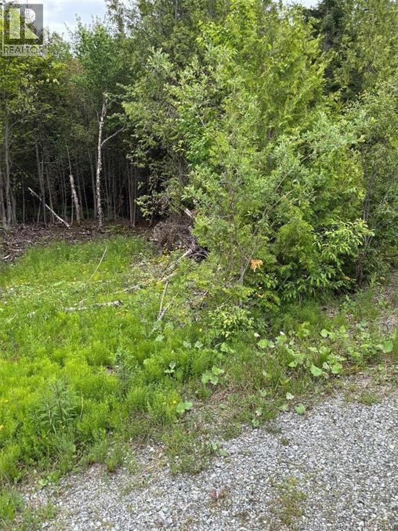 A-32 Deer Glen Drive, Saint John, New Brunswick  E2H 2Z6 - Photo 1 - NB143822