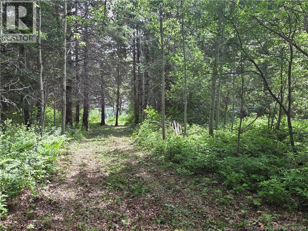 5158 Rte 108, Millerton, New Brunswick  E1V 5B7 - Photo 17 - NB143501