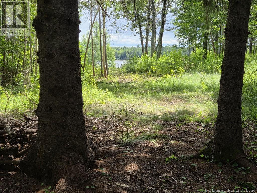 5158 Rte 108, Millerton, New Brunswick  E1V 5B7 - Photo 18 - NB143501