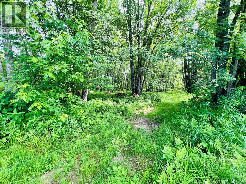 2147 Tweedside Road, Brockway, New Brunswick  E6K 1Z7 - Photo 35 - NB143930