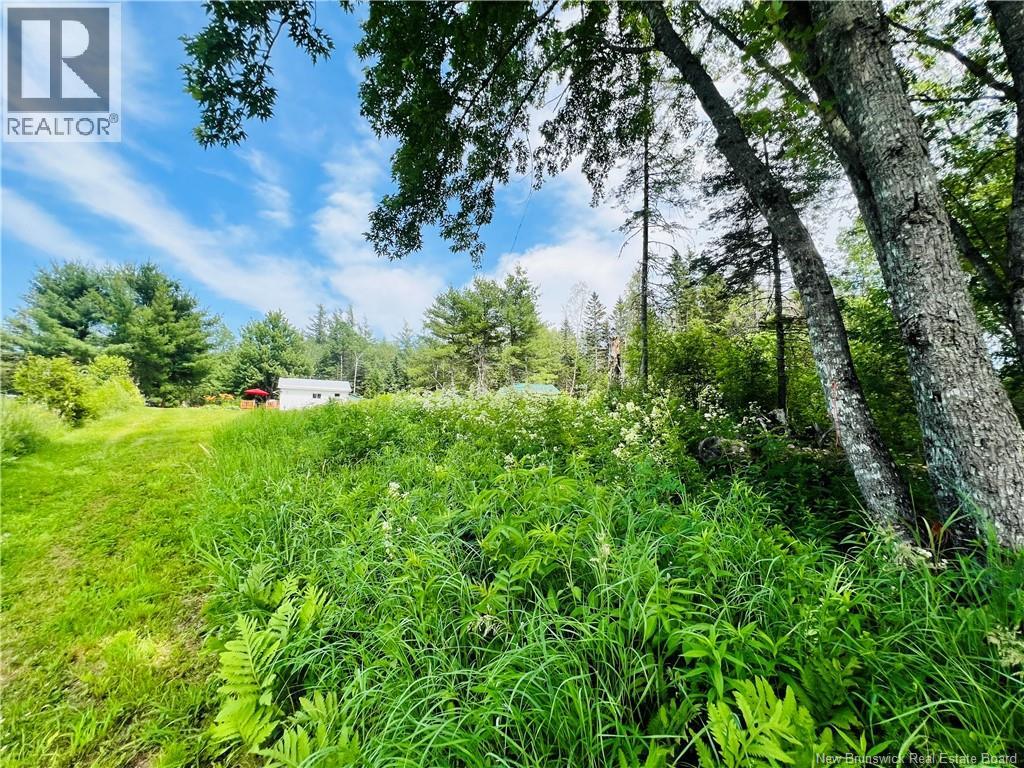 2147 Tweedside Road, Brockway, New Brunswick  E6K 1Z7 - Photo 36 - NB143930