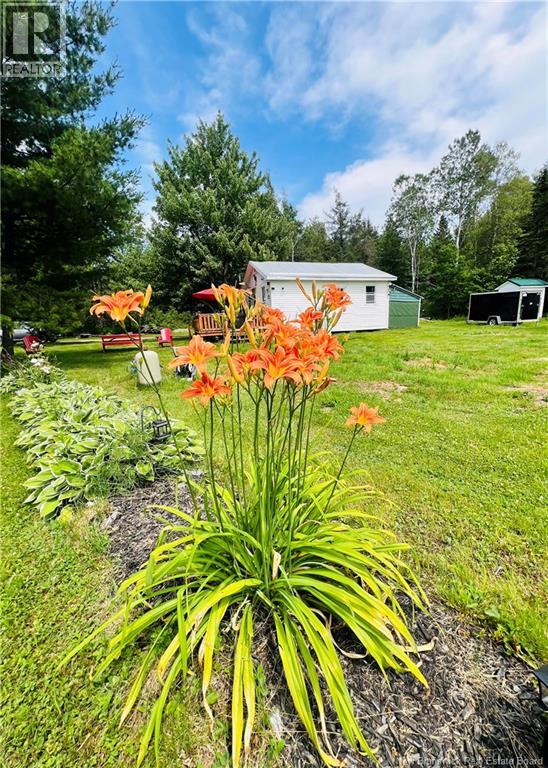 2147 Tweedside Road, Brockway, New Brunswick  E6K 1Z7 - Photo 39 - NB143930