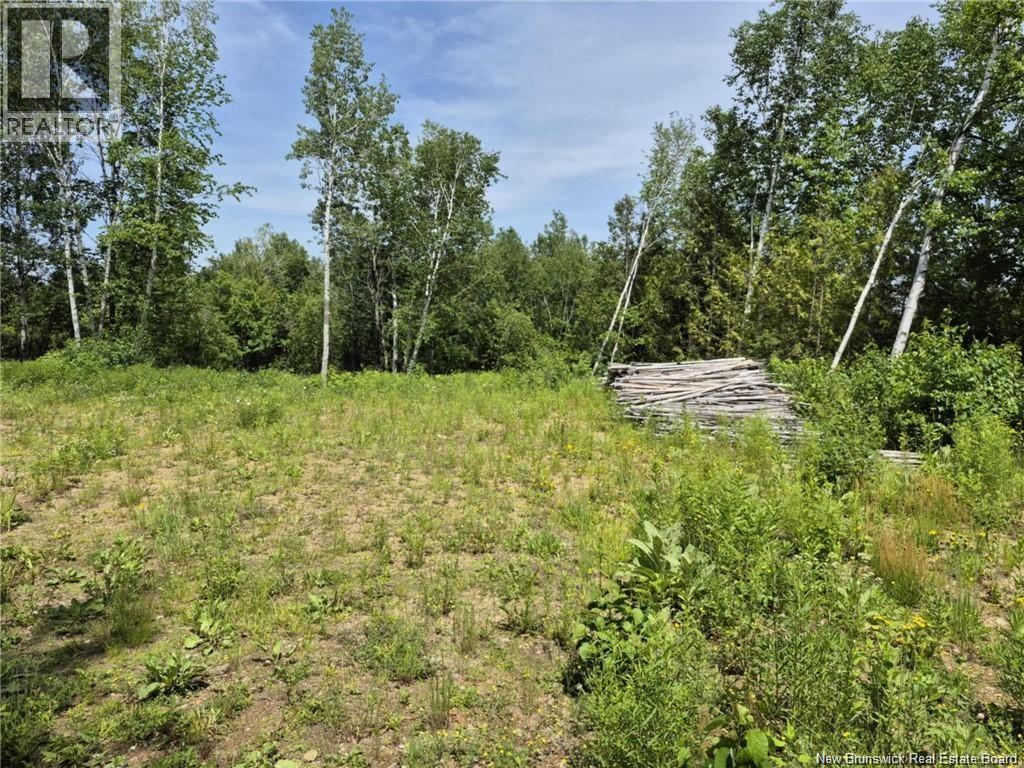 1 Acres Rue Amos, Sainte-Anne, New Brunswick  E2A 7A5 - Photo 1 - NB143908