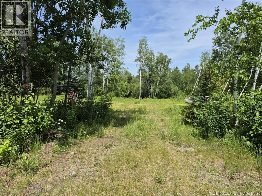 1 Acres Rue Amos, Sainte-Anne, New Brunswick  E2A 7A5 - Photo 3 - NB143908