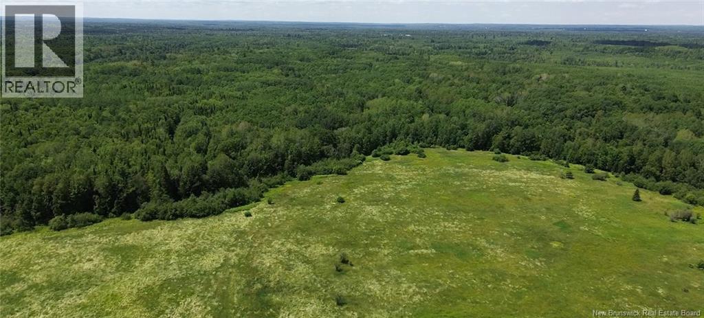 114.9 Acres Little River Drive, Bathurst, New Brunswick  E2A 6M4 - Photo 1 - NB143919