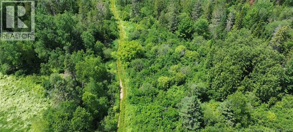 114.9 Acres Little River Drive, Bathurst, New Brunswick  E2A 6M4 - Photo 3 - NB143919