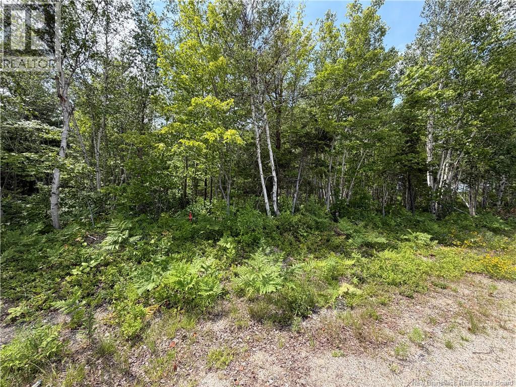 Lot 3 O'Keefe, Miramichi, New Brunswick