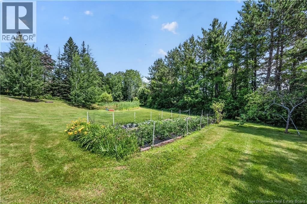 41 Green Hill Drive, Hillsborough, New Brunswick  E4H 2V4 - Photo 41 - NB143546