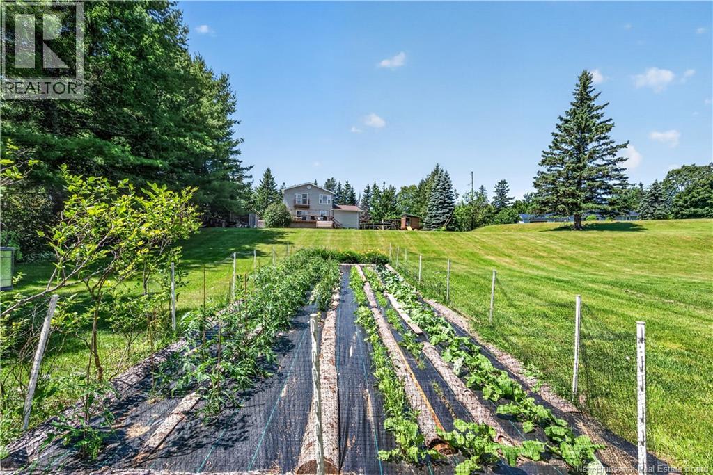 41 Green Hill Drive, Hillsborough, New Brunswick  E4H 2V4 - Photo 43 - NB143546