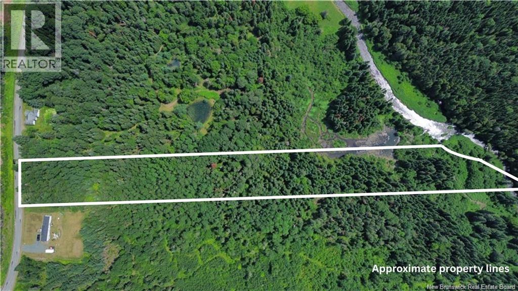 Vacant Land Black Brook Road, Glassville, New Brunswick E7L 1R7 - Photo 1 - NB143641