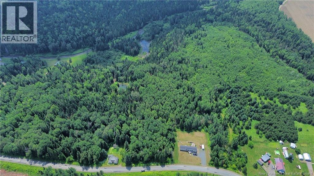 Vacant Land Black Brook Road, Glassville, New Brunswick E7L 1R7 - Photo 6 - NB143641