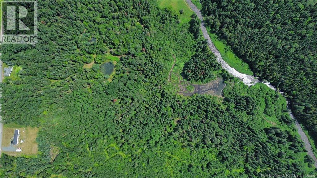 Vacant Land Black Brook Road, Glassville, New Brunswick E7L 1R7 - Photo 8 - NB143641