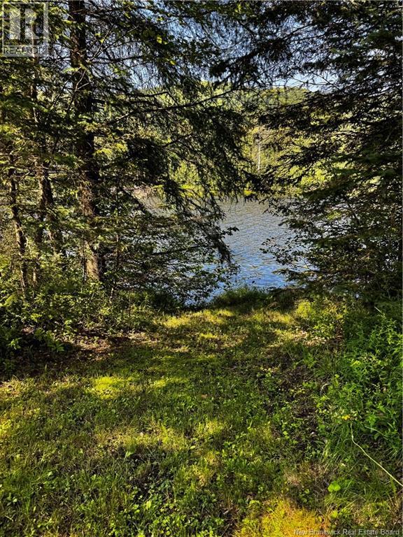 1076 Baisley Road, Saint-Jacques, New Brunswick  E7B 2A3 - Photo 27 - NB144043