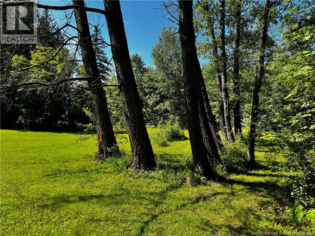 1076 Baisley Road, Saint-Jacques, New Brunswick  E7B 2A3 - Photo 43 - NB144043