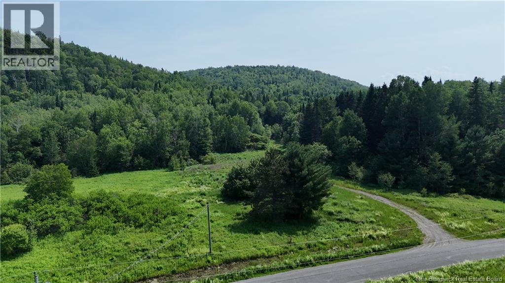 469 Tinker Road, Tinker, New Brunswick  E7H 5A6 - Photo 2 - NB144117