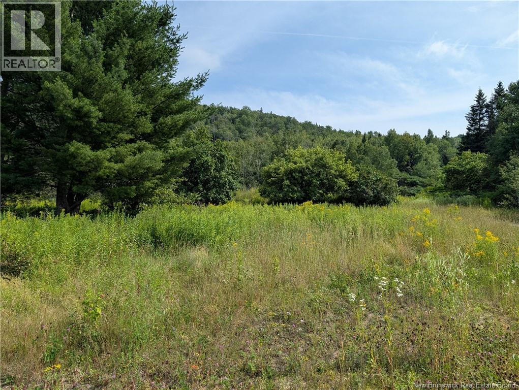 469 Tinker Road, Tinker, New Brunswick  E7H 5A6 - Photo 3 - NB144117