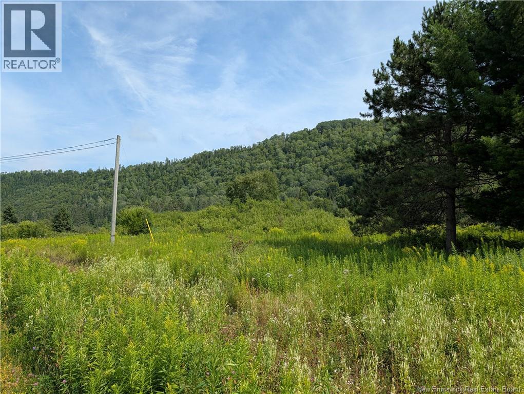 469 Tinker Road, Tinker, New Brunswick  E7H 5A6 - Photo 4 - NB144117