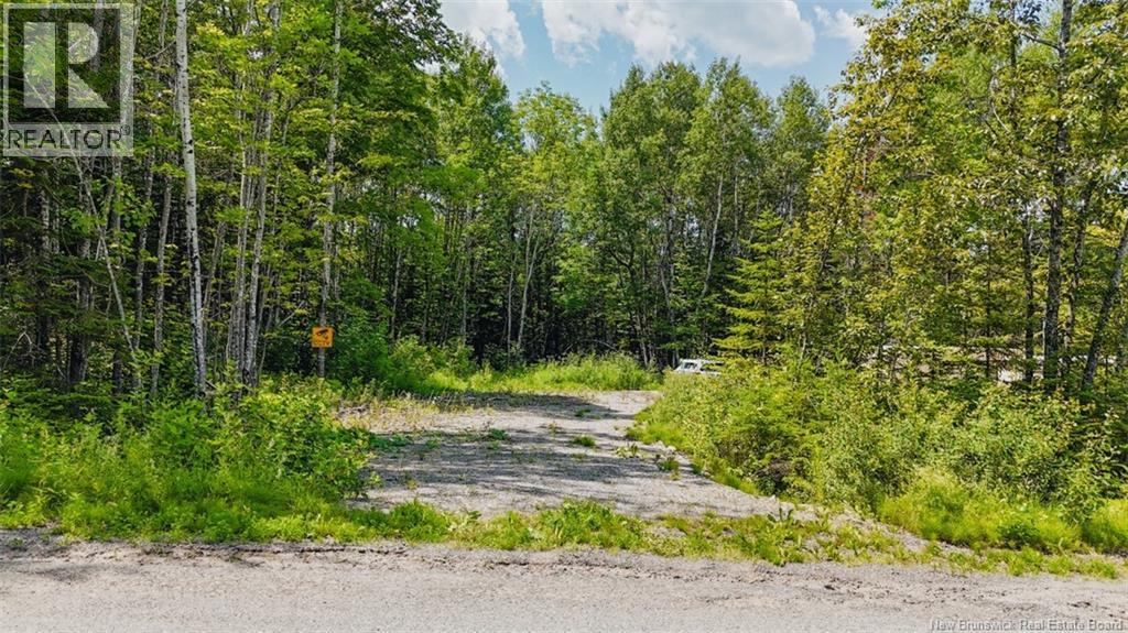 5 Beech Street, Beardsley, New Brunswick E7M 4G6 - Photo 14 - NB143811
