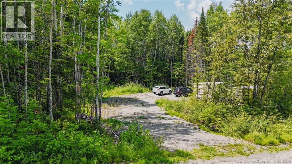 5 Beech Street, Beardsley, New Brunswick E7M 4G6 - Photo 22 - NB143811