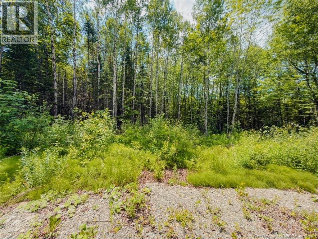 5 Beech Street, Beardsley, New Brunswick E7M 4G6 - Photo 23 - NB143811