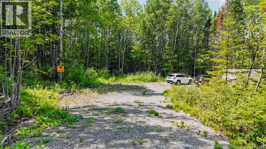 5 Beech Street, Beardsley, New Brunswick E7M 4G6 - Photo 5 - NB143811