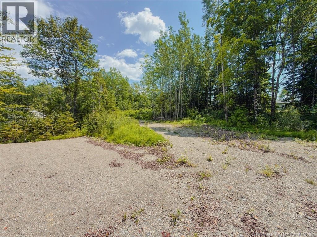 5 Beech Street, Beardsley, New Brunswick E7M 4G6 - Photo 6 - NB143811