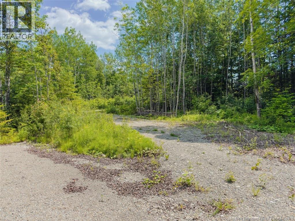 5 Beech Street, Beardsley, New Brunswick E7M 4G6 - Photo 7 - NB143811