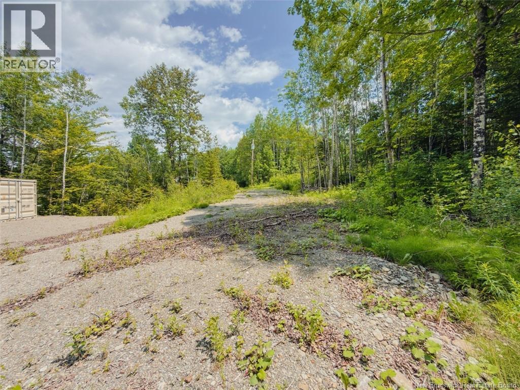 5 Beech Street, Beardsley, New Brunswick E7M 4G6 - Photo 8 - NB143811