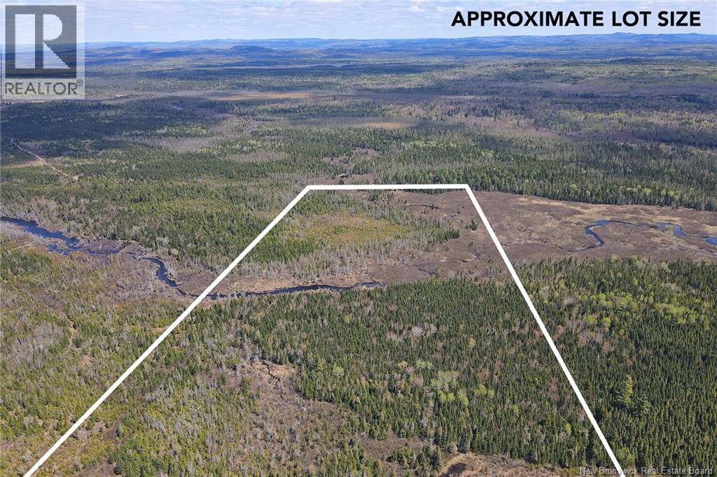 Lot Route 585, Clarkville, New Brunswick  E6E 1P5 - Photo 3 - NB144254
