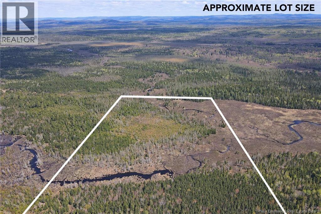 Lot Route 585, Clarkville, New Brunswick  E6E 1P5 - Photo 4 - NB144254