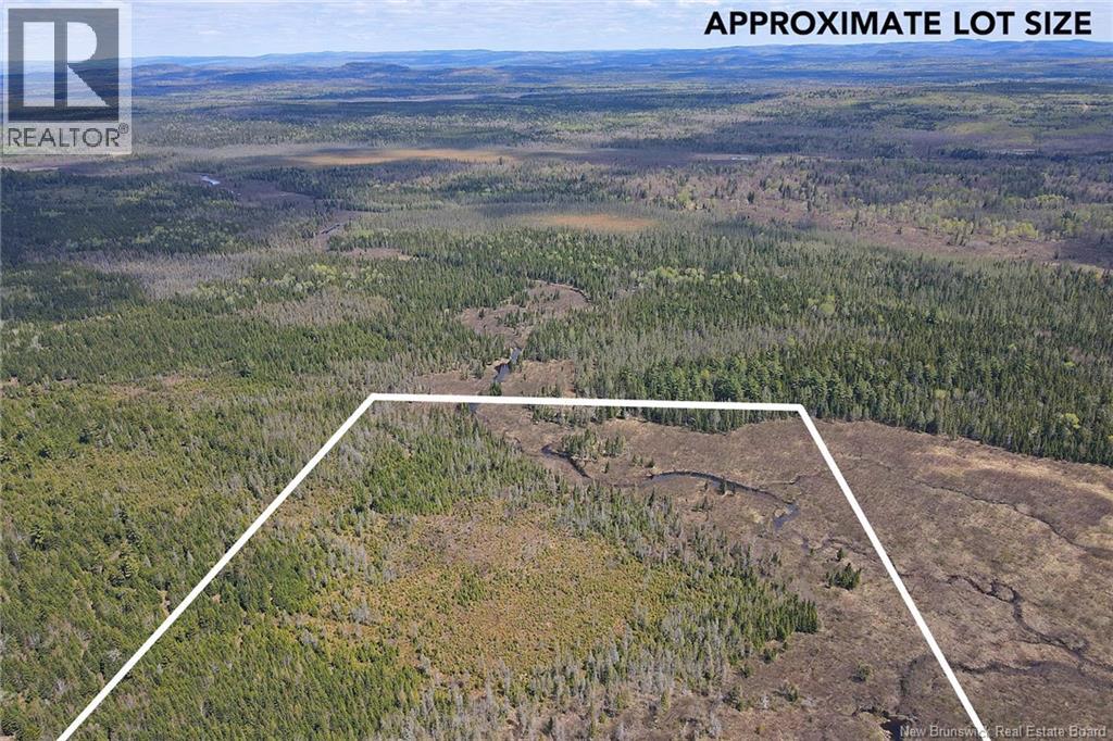 Lot Route 585, Clarkville, New Brunswick  E6E 1P5 - Photo 5 - NB144254