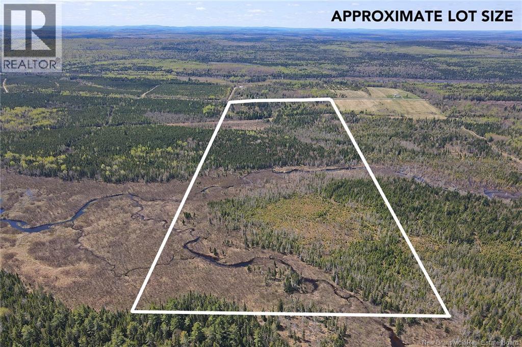 Lot Route 585, Clarkville, New Brunswick  E6E 1P5 - Photo 6 - NB144254
