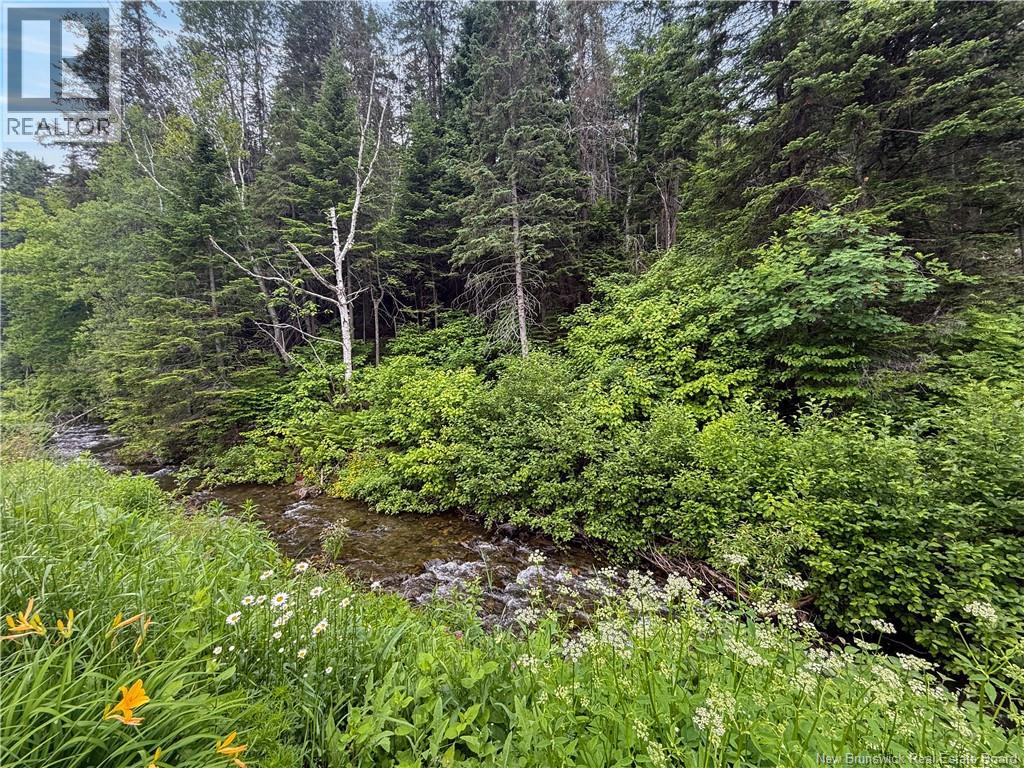 1295 Val D'amour Road, Val-D'amour, New Brunswick  E3N 5M5 - Photo 26 - NB144201