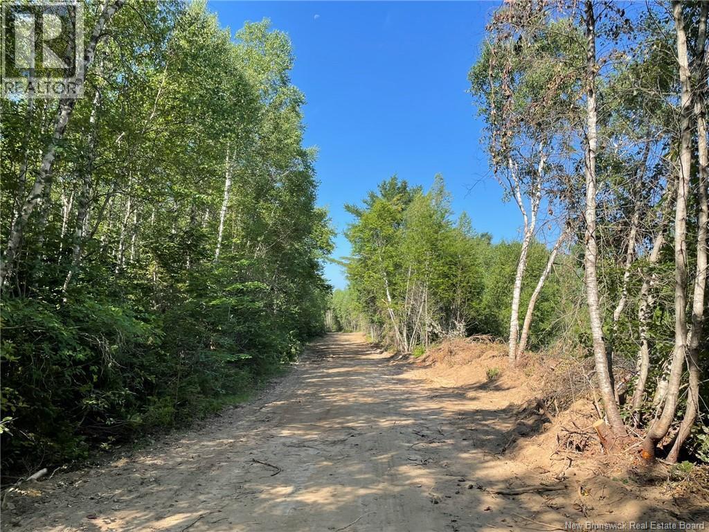 Lot Richard Hill Road, Shediac Bridge, New Brunswick  E4R 3M5 - Photo 6 - NB144343