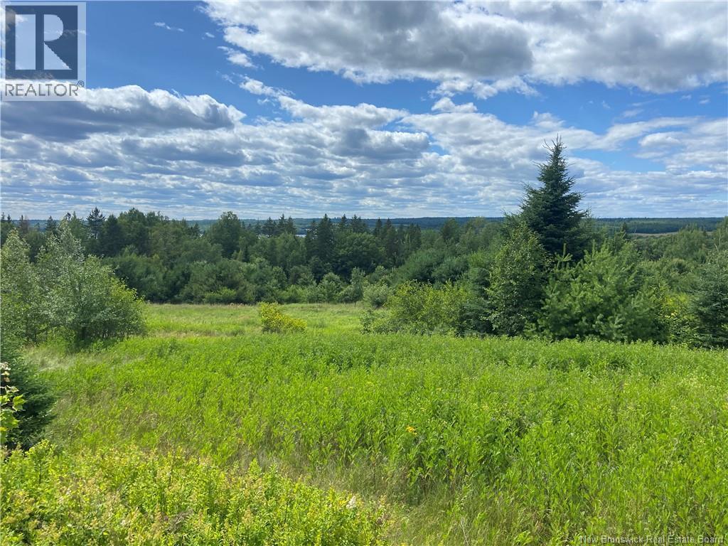 Lot Route 710, Cambridge-Narrows, New Brunswick  E4C 4E6 - Photo 17 - NB144093