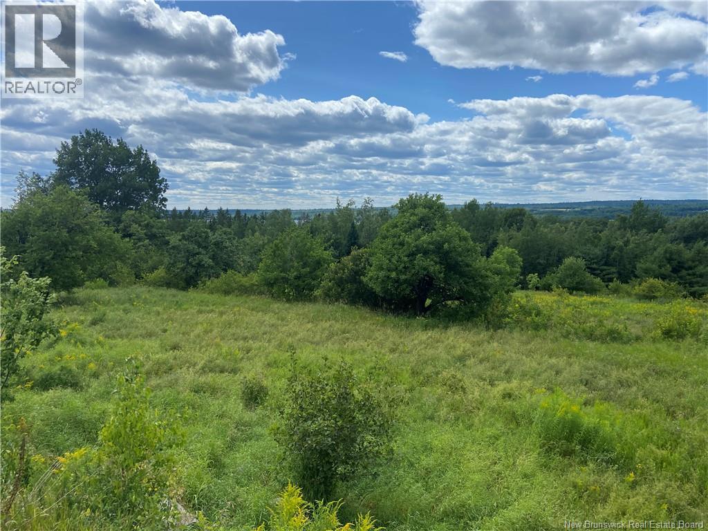 Lot Route 710, Cambridge-Narrows, New Brunswick  E4C 4E6 - Photo 20 - NB144093